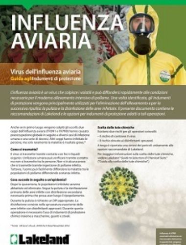 Ce Avian Flu Factsheet It Thumbnail