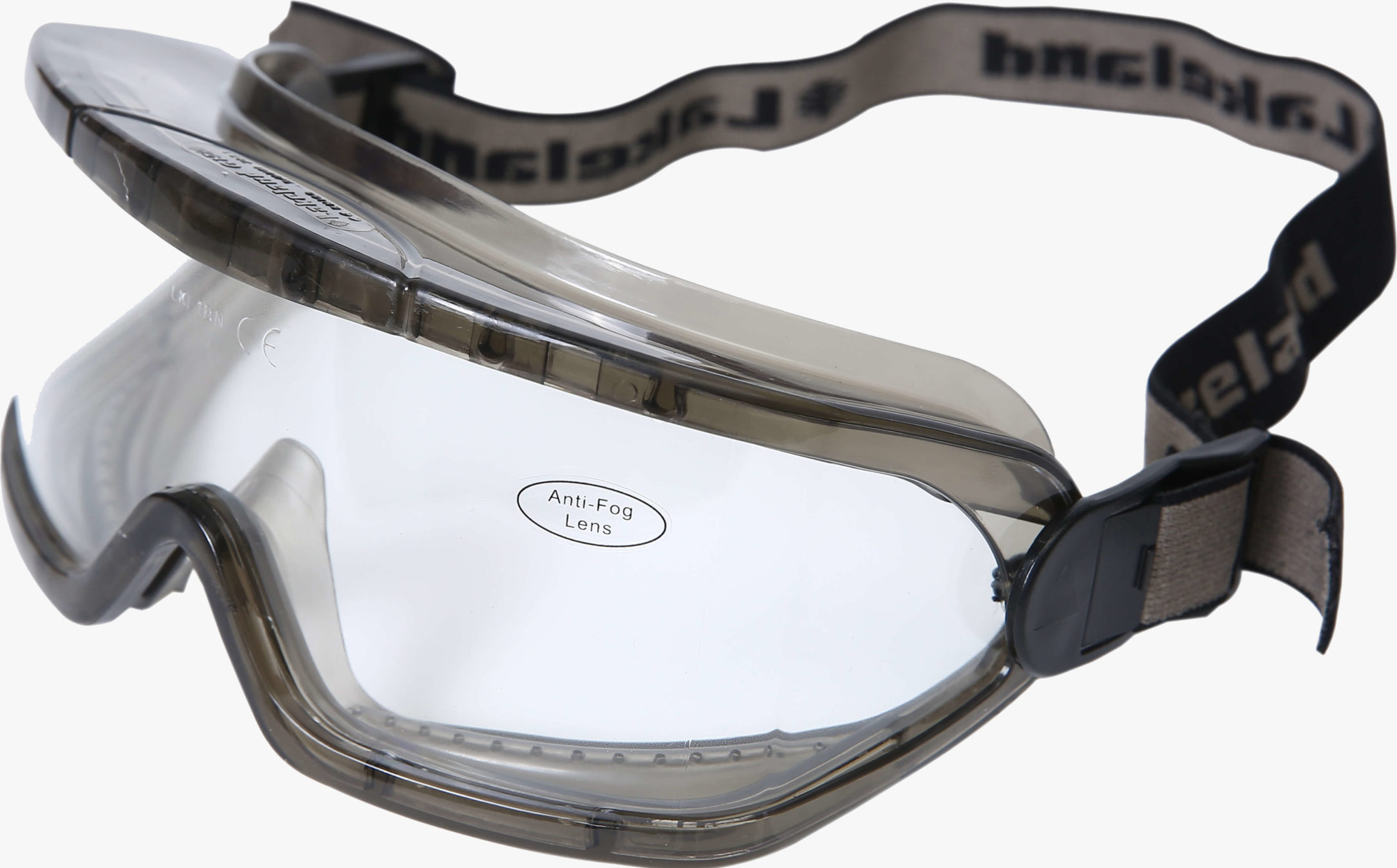 G1580 Safety Goggle Lakeland